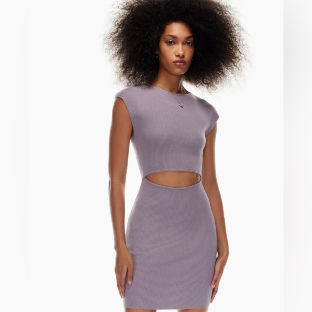 NWT Aritizia X Wilfred Free Cut-out Knit Mini Dress - Picture 4 of 6